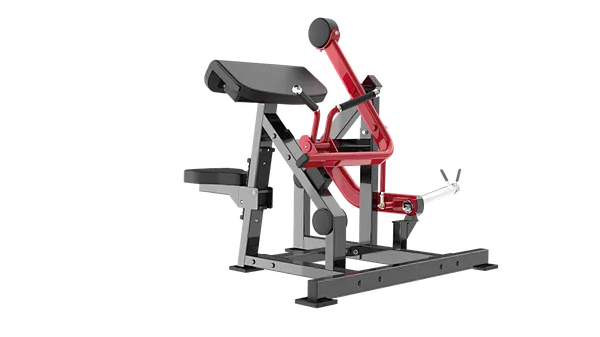 SEATED BICEPS